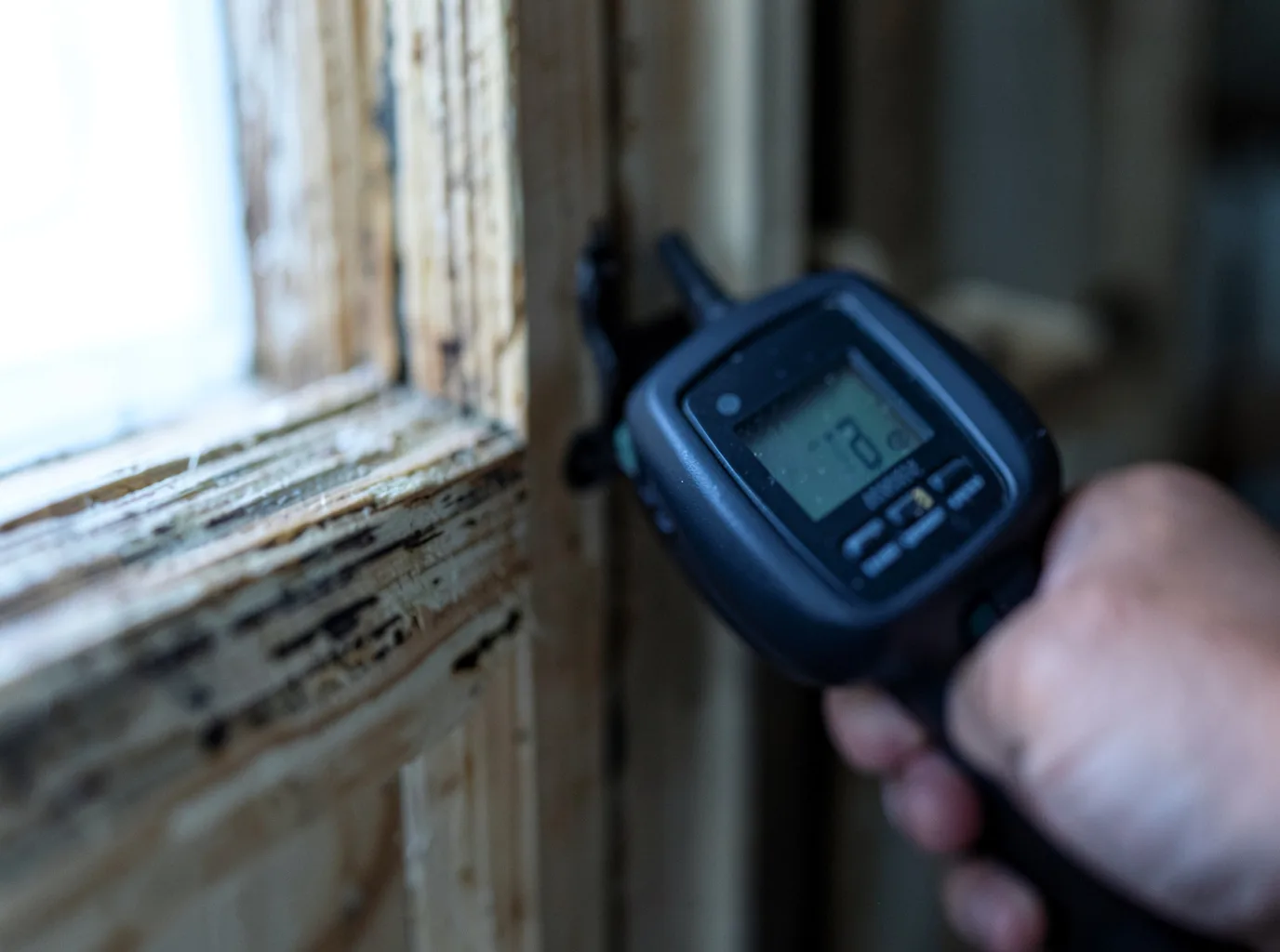 Moisture Inspection And Documentation in Morris Plains, NJ